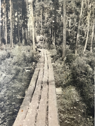photo of pathway through swamp